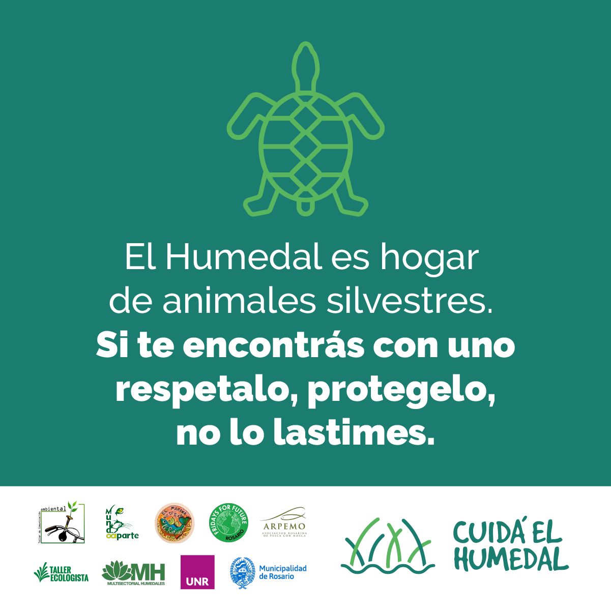 Campaña de educación ambiental para proteger a los humedales | IMPULSO